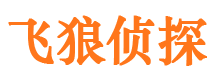 申扎市婚姻出轨调查